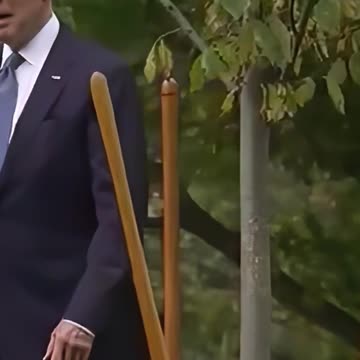 Biden, Gets Lost In The Woods