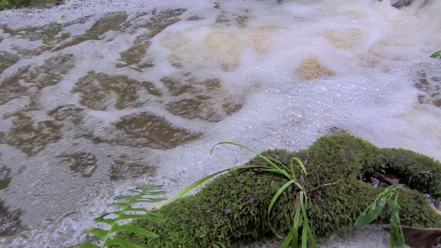 WET WEATHER CREEK IN THE HOLLAR