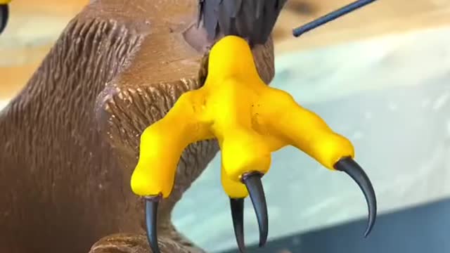 Chocolate Bald Eagle