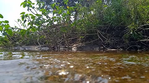 River