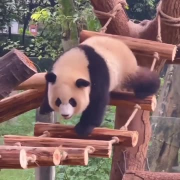 Me playing video games 😂