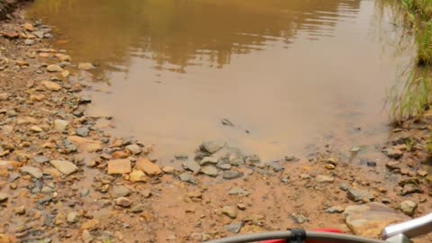 Riding through puddles... Eventually they are too deep !