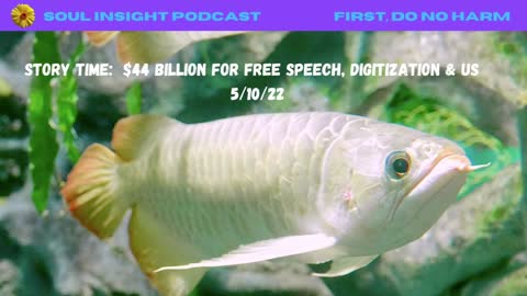 Story Time: $44 Billion For Free Speech, Digitization & Us