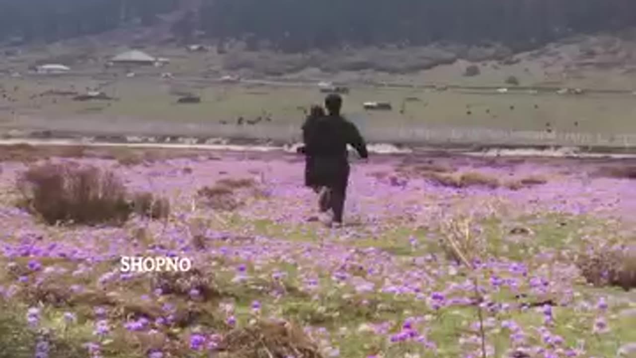 Couple scene