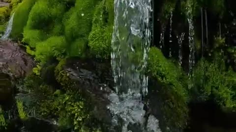 The Beautiful Water Flows