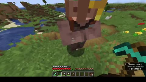 Minecraft Will villagers like me?