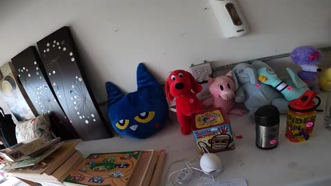 THINGS I WANTED TO BUY