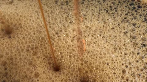Khoa Nam Coffee