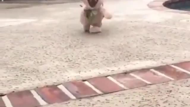 A dog with a bear on it