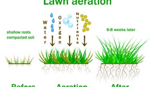 Lawn Aeration Hancock MD Lawn Service