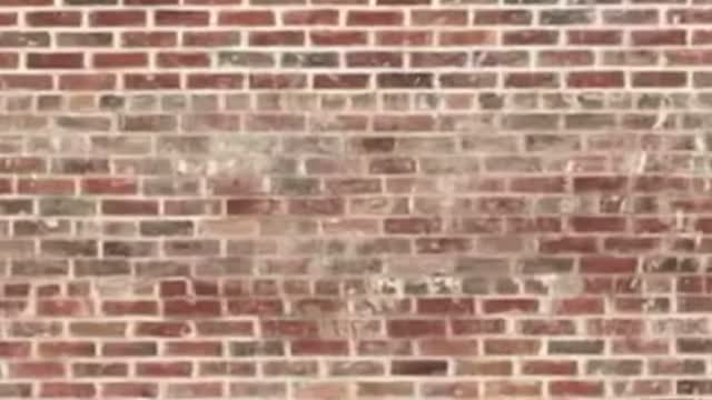 mr beast crashes train into brick wall