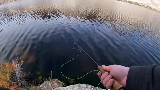 who else loves the dry dropper combo