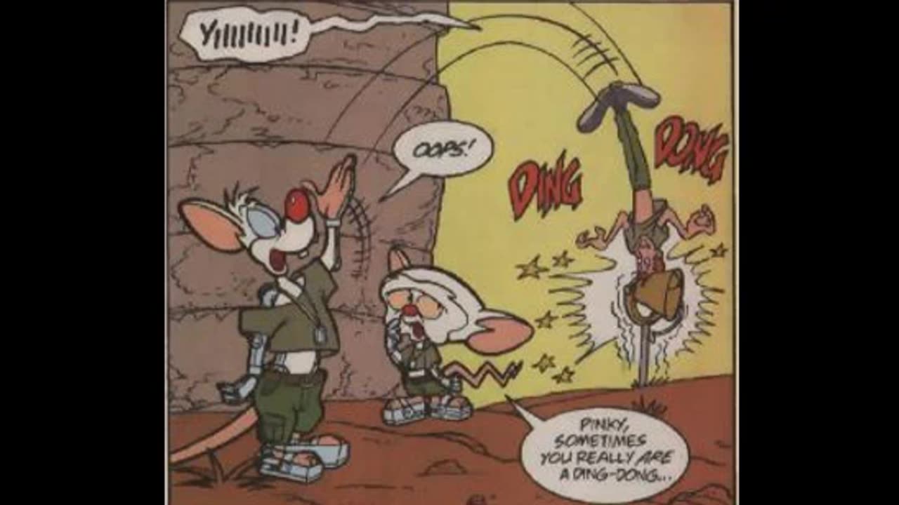 Newbie's Perspective Pinky and the Brain Issues 26-27 Reviews