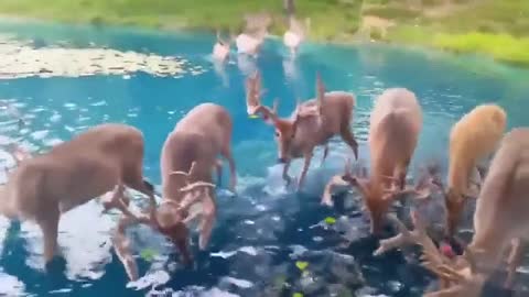 Lake in Switzerland
