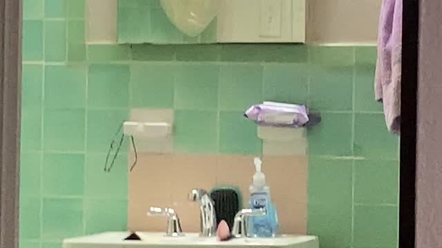 Cat Loves Showers Playing in the Bathroom Sink