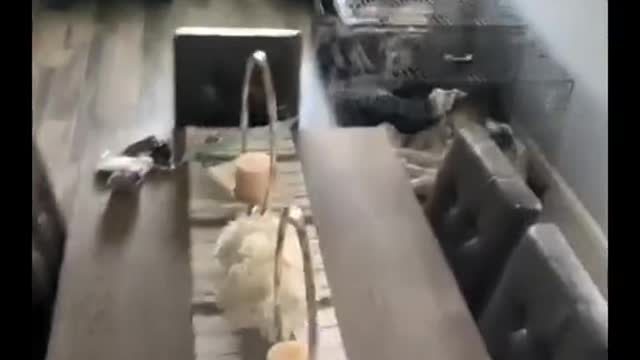 What do you think they were saying !