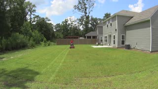 Cutting Grass - #SideHustle