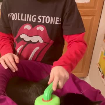 Desmond brushing Candy