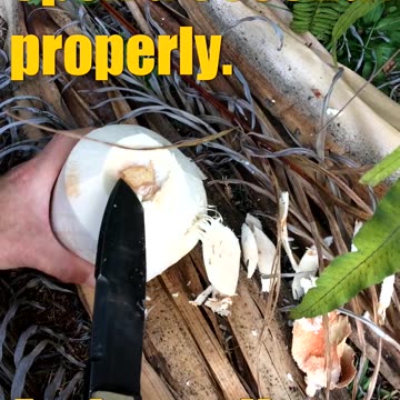 How to cut open a coconut so you don't Chop your fingers off!