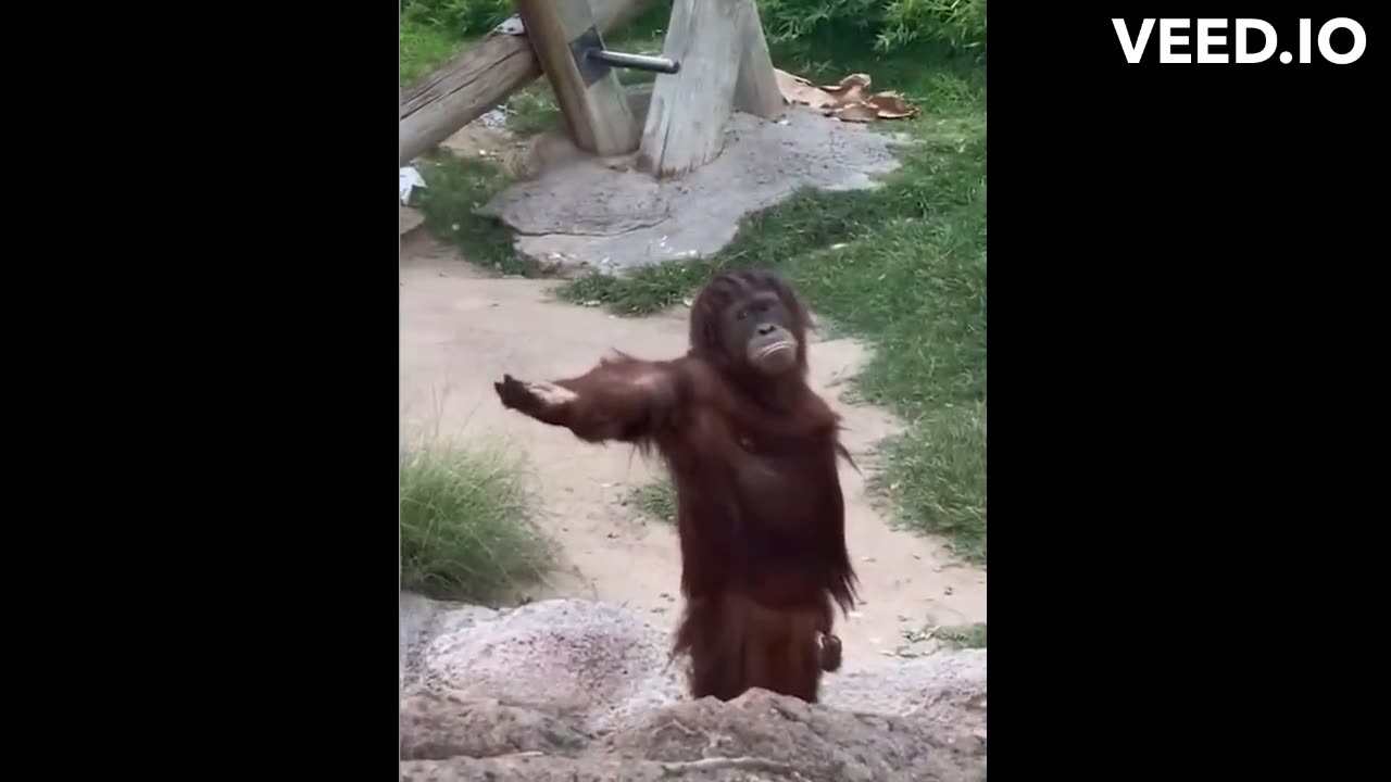 Laughing a Lot!