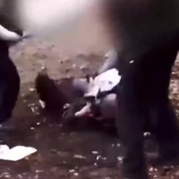 Let's see how well recent muslim immigrants are assimilating to American culture (Check Description)