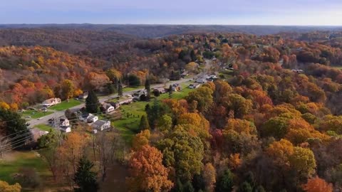 Enchanting Autumn Forests with Beautiful Piano Music