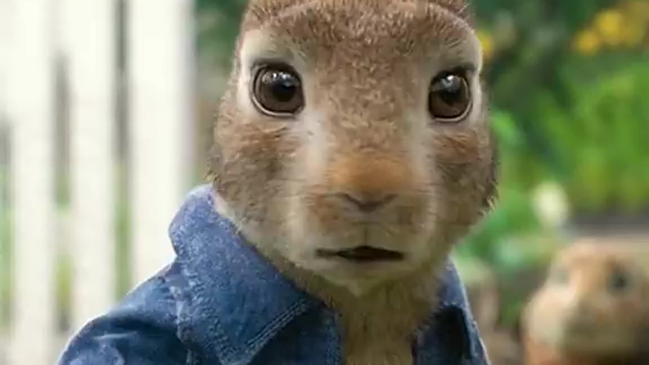 Very funny video