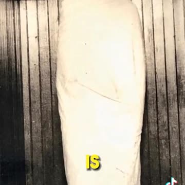 Cincinnati Crawler - Story