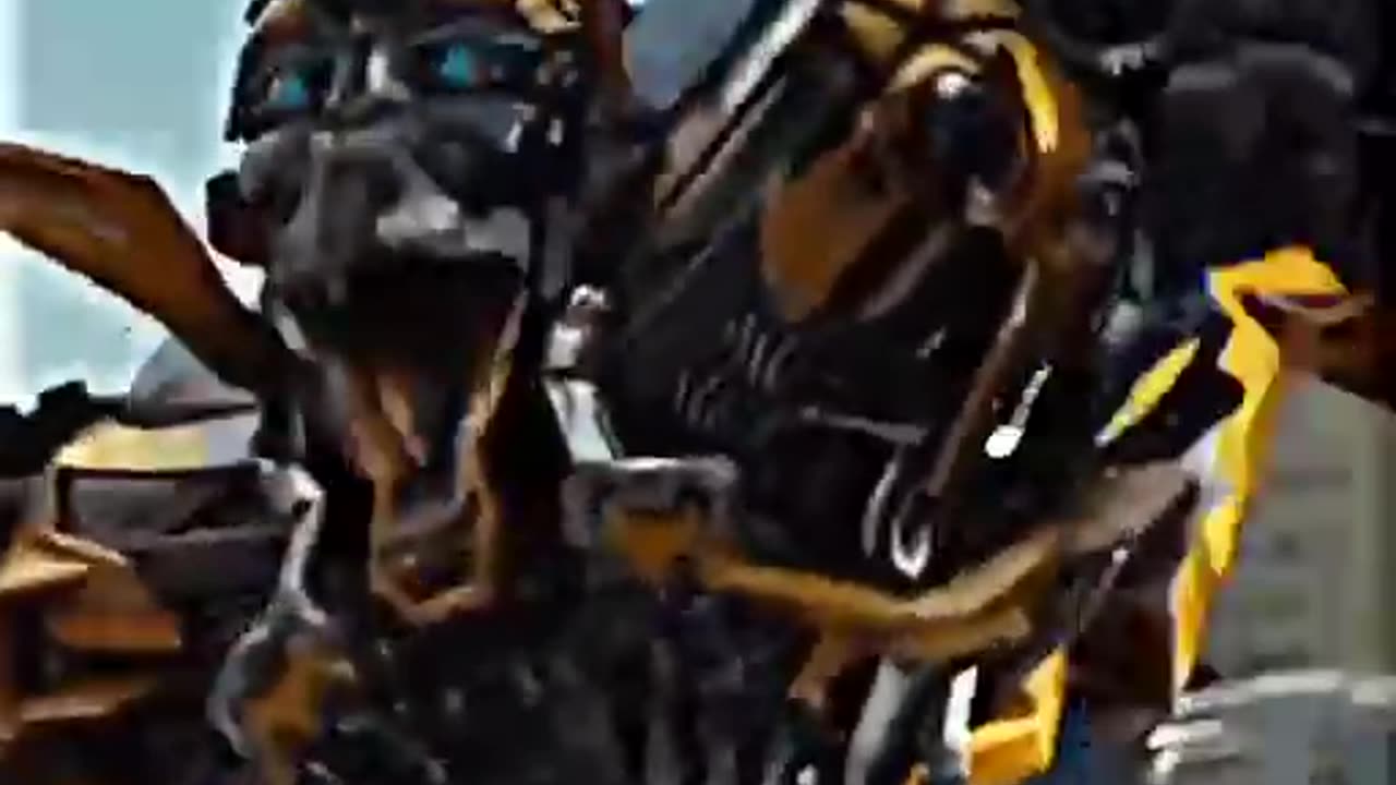 Bumblebee coldest moment