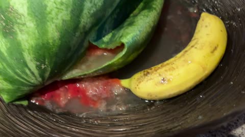 Watermelon Spontaneously Explodes in Kitchen