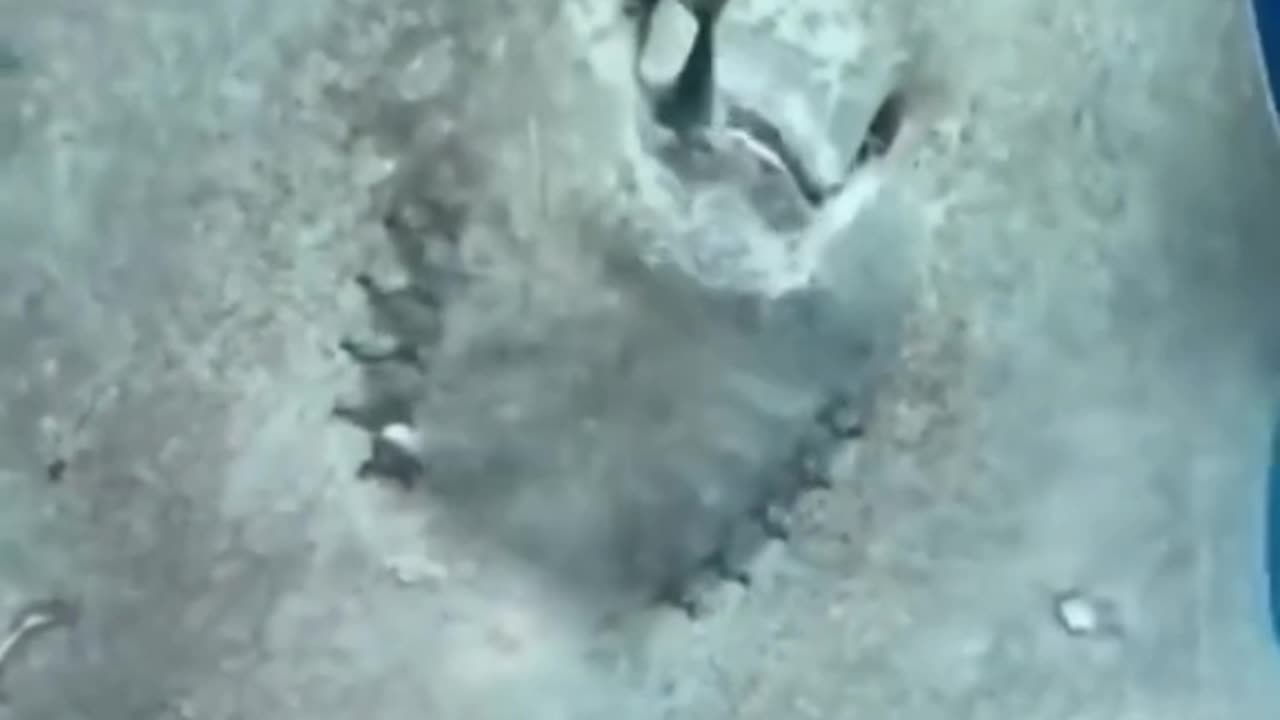 Things humans were never meant to see