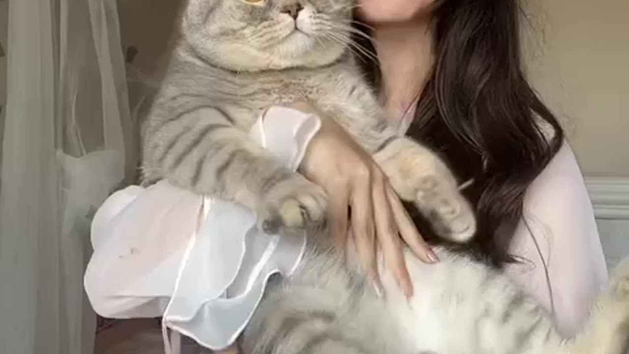 Tiktokta çok sevildi siz de sevdiniz mi؟ Beğenmeyenleri Gece yiyecekmiş