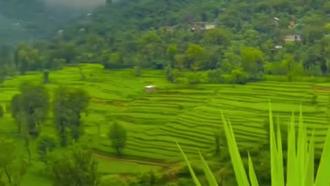 Beautiful video about Natural beauty