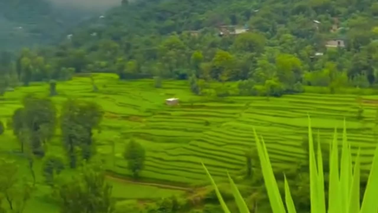 Beautiful video about Natural beauty