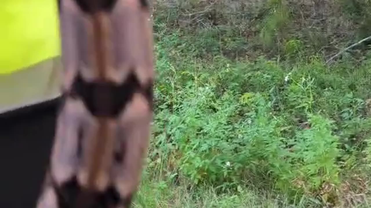 Brett holding a 12 Rattle Timber Rattler