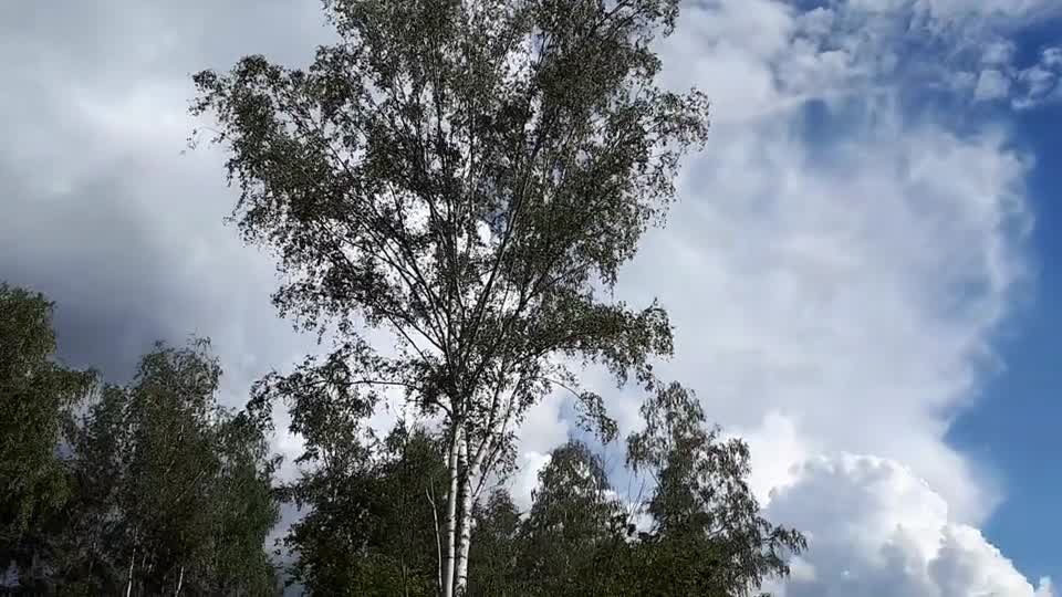 Himmel in Berlin am 10.09.2022 um 15:33 Uhr