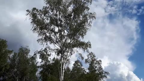 Himmel in Berlin am 10.09.2022 um 15:33 Uhr