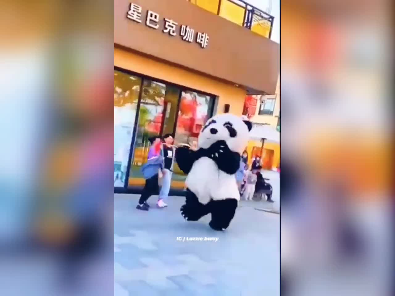 Best video of cat | more funny short