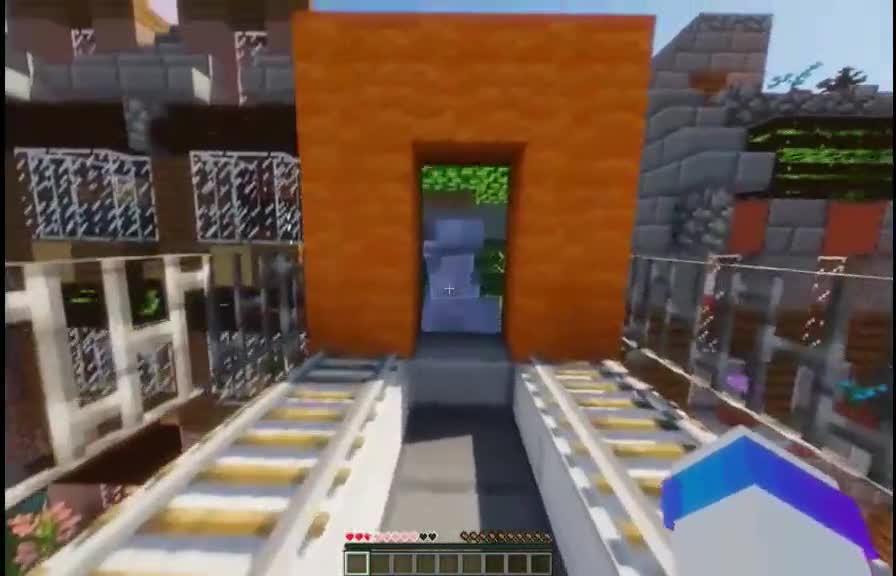 Minecraft wtf???