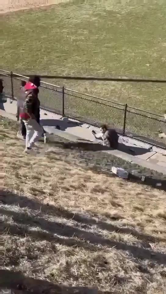 Group Of Thugs At School Attack Helpless Man