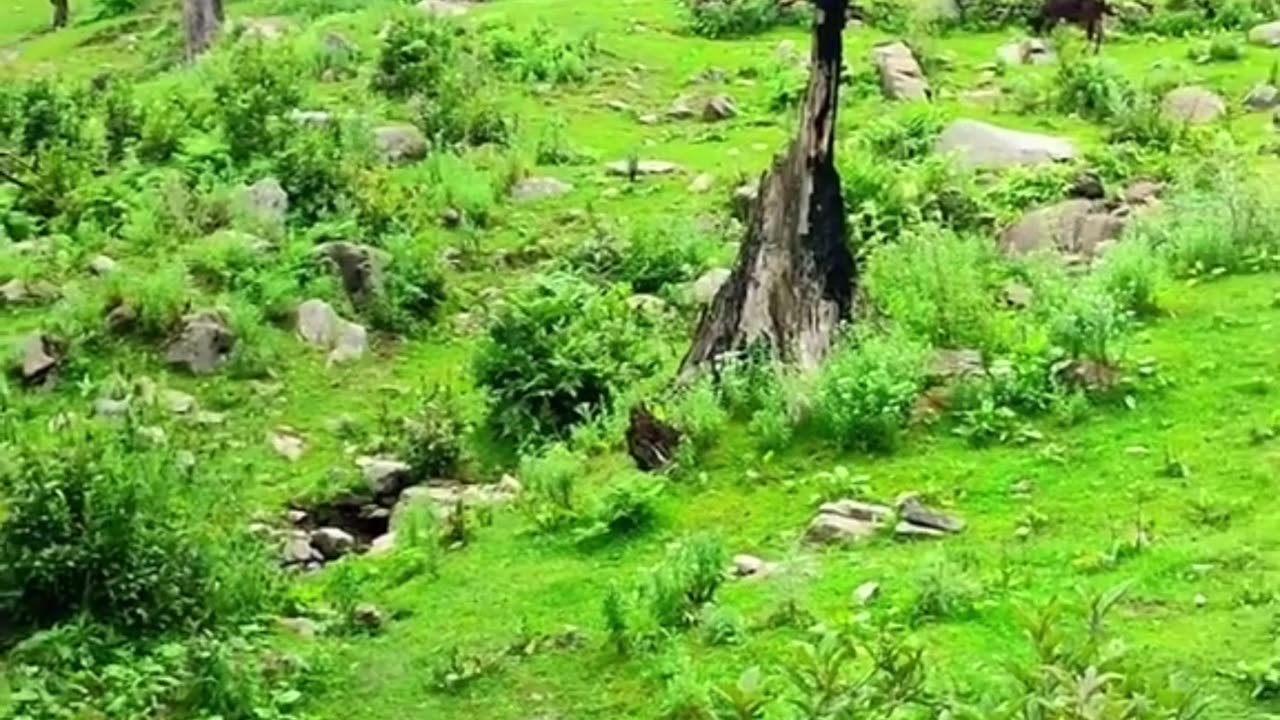 natural beauty of pakistan