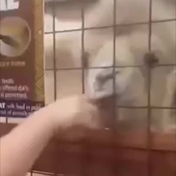 funny video funny memes comedy video funny fails funny video 2024