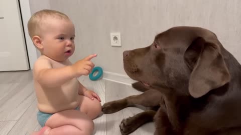 Sweetest Moment I've Ever Seen