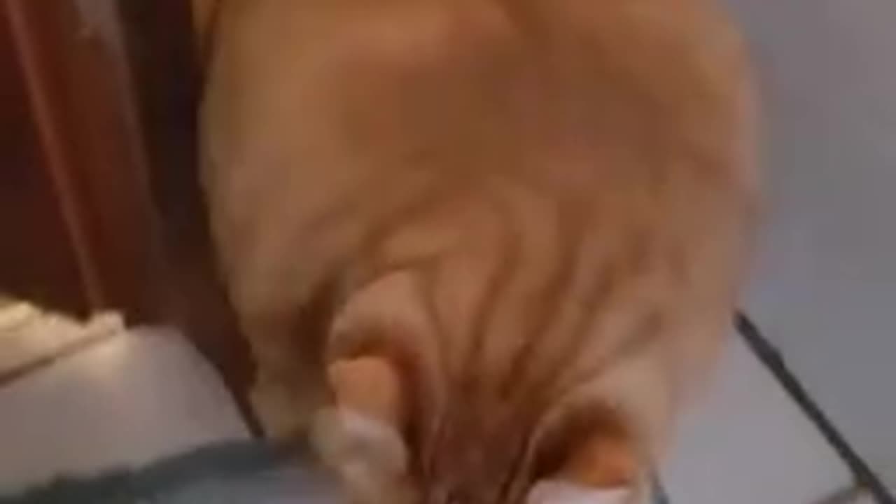 Exception to the rule that if the head fits so does the body