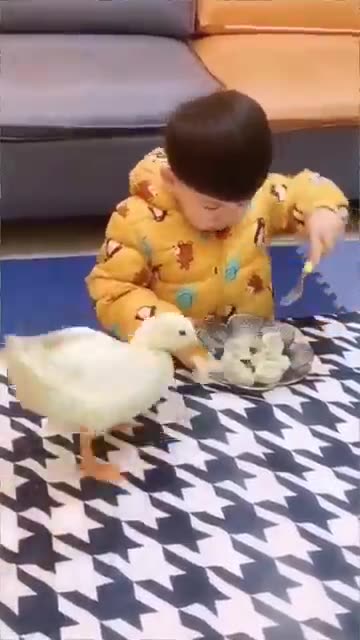 Cute naughty babies 🤪🤪