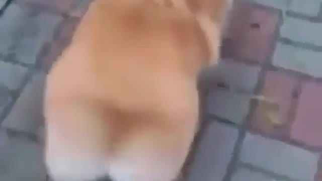 Your feet are on your body, so just move on,