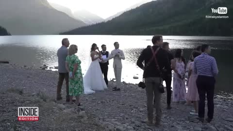 Grizzly Bear Kills Moose During Couple’s Wedding.
