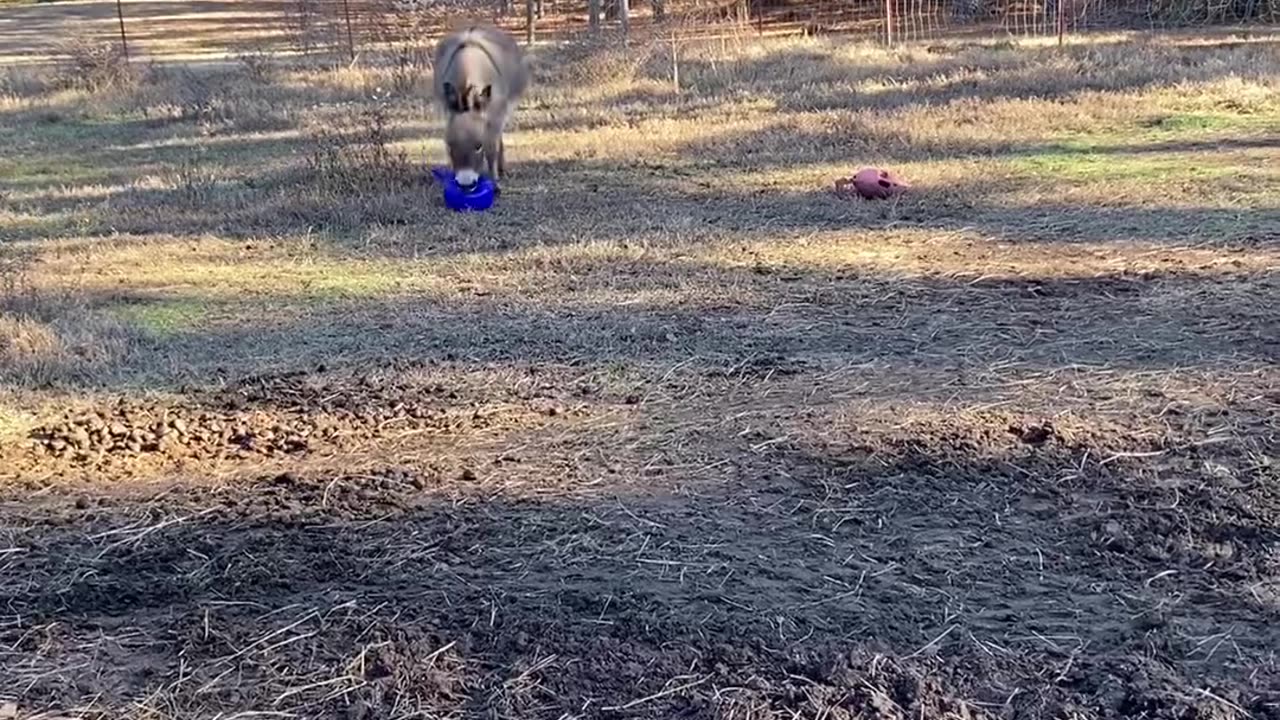 Pure excitement ❤️