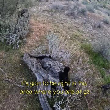 Could this be a new geocache?