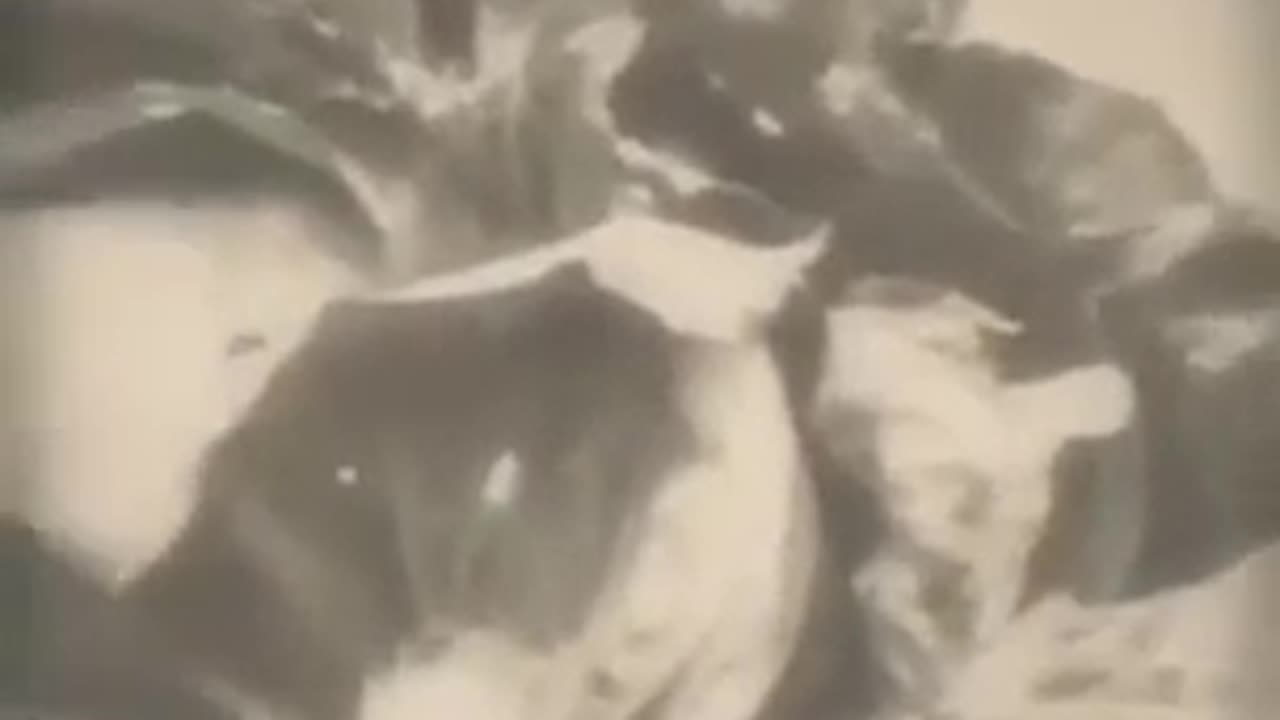 NATURE IS ELECTRIC